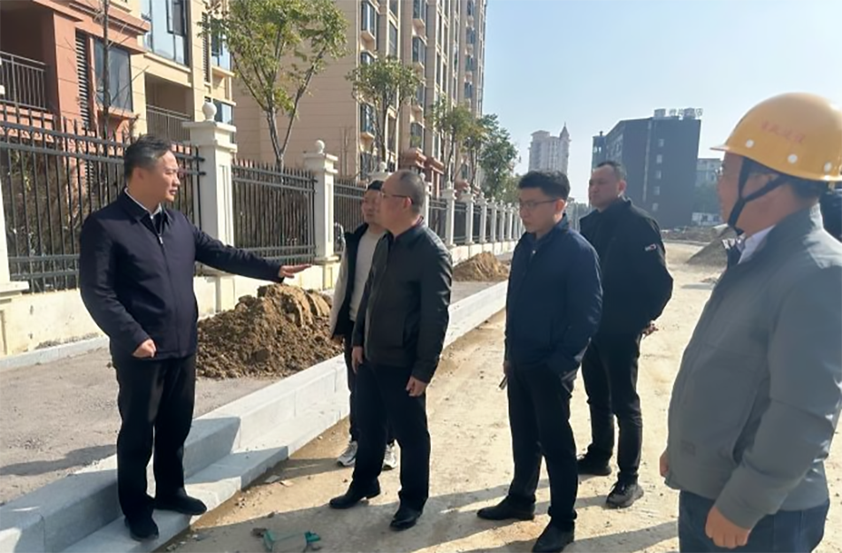 青山湖區(qū)黨委副書記、區(qū)長楊育星到利民路項目調研
