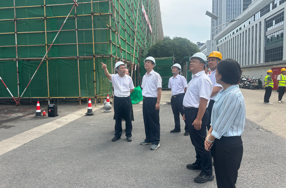 南昌市人大常委會副主任、黨組成員王強一行到新建區(qū)老舊小區(qū)改造項目檢查調(diào)研