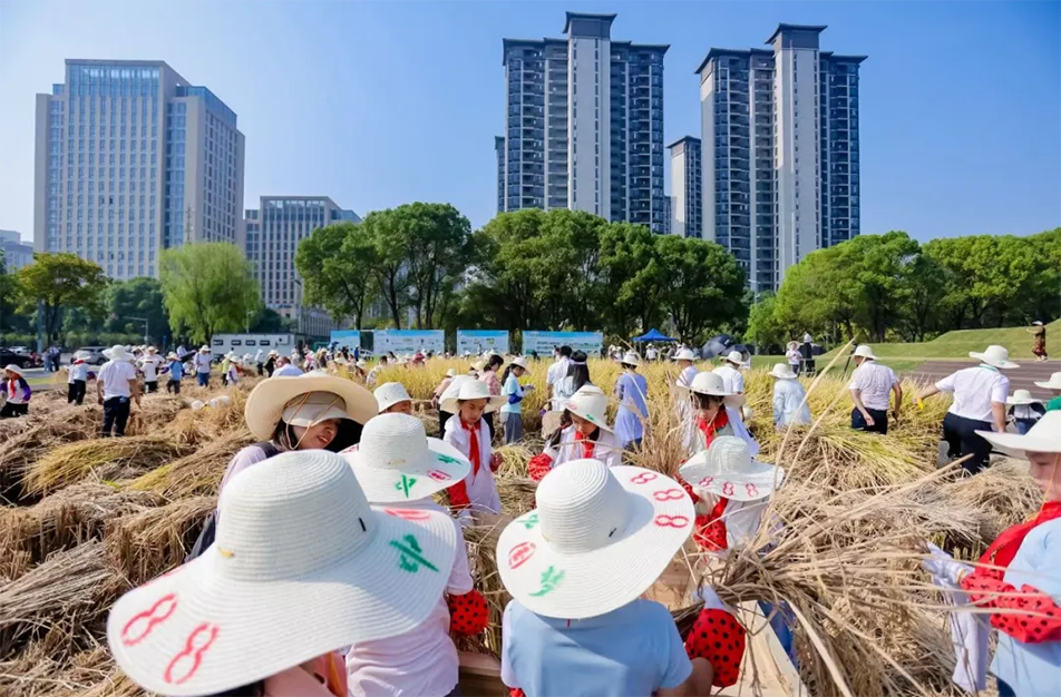 九洲公園舉辦“南昌城里有點田”秋收體驗活動 青少年體驗農耕文化